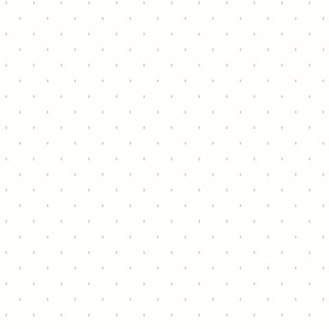 Andrea Rossi Gallinara 54312-1