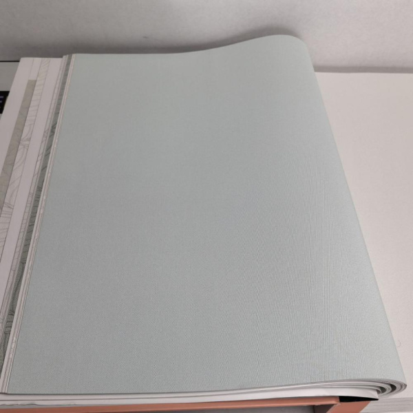 Andrea Rossi Berggi 54450-7