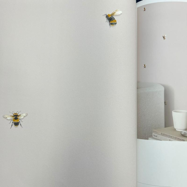 Andrea Rossi Cavolli 54419-5