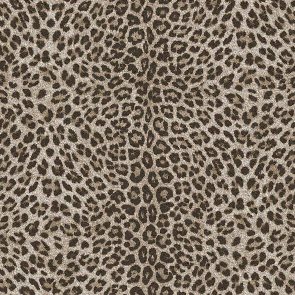 Zambaiti Parati Philipp Plein Z 81028