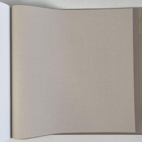 Alessandro Allori Bruni RBN 1005-7