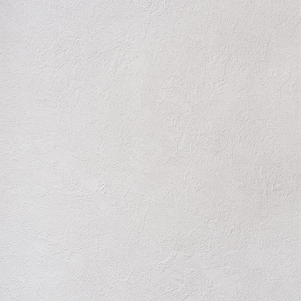 Alessandro Allori Bodega 2404-9