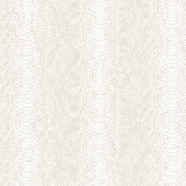 Zambaiti Parati Philipp Plein Z 81033